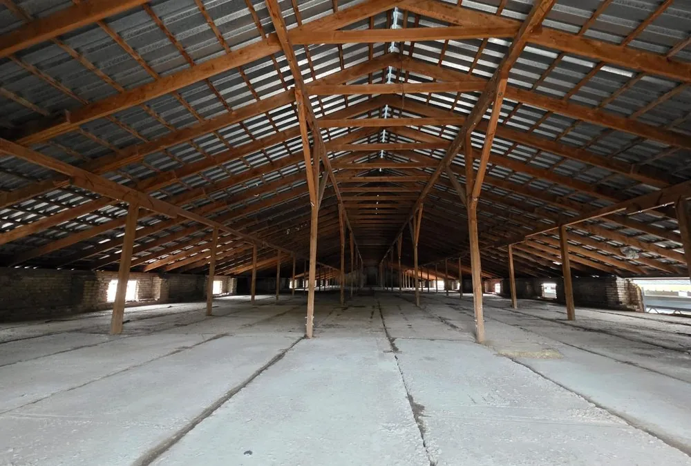 The empty upper floor of the campus building: timber roof trusses over a bare concrete slab